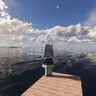 5中生有