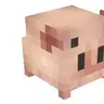 PFiS