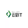 云望IT