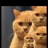 我是僵尸