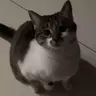 l01