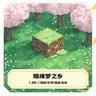 樱缘梦之乡