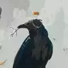 ExpertSneeker