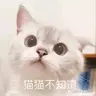 MYXBXiaoba