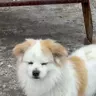 知音个人工作室