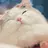 Meow_Yan