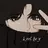 道长DZ