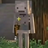 Lele6670