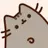 Meow233