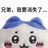 LSHZXC