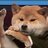 dogqwq1