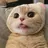 xiaoming23333