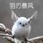 牛子很忙