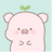 Saoforest