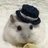 hamster4477