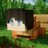 Ecmon_mc