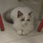xiaoman20190101