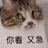 周口第一深情