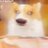 在培训