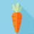 Carrot520