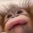 aqi_qwq