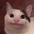 笑猫lol