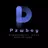 pzwboy