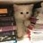 阿钰Lucky