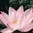 轩xuan