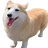 avaned
