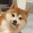 KUMAKUMA