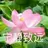 lxQingFeng
