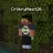 CrispyNest26