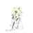 莫尔萨