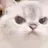 MiaoMiao777