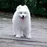 更多生物 Plus版