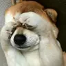 [LiRandomRemains] - 让世界生成地牢