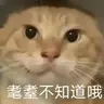 Carp生电