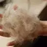 真正好用的告示牌！！！！！！