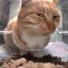 【1.20.50】简洁背包Mod