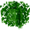 Motschen's Better Leaves —— 让树叶拥有更好的外观 [1.20.X~1.21.X]