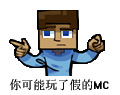 :steve：假的mc: